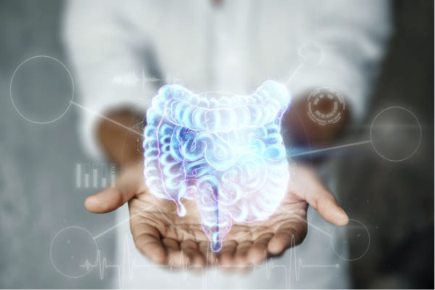 gut health improvement