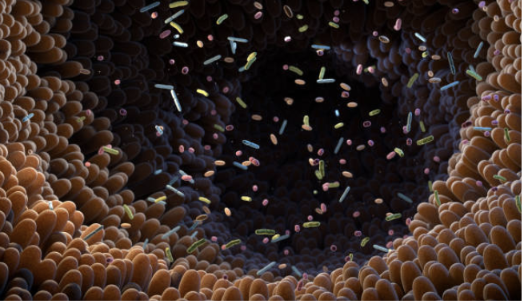 microbiome testing uk