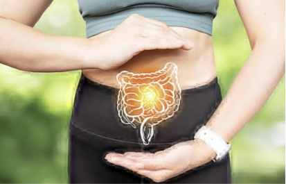 the best probiotics for gut health